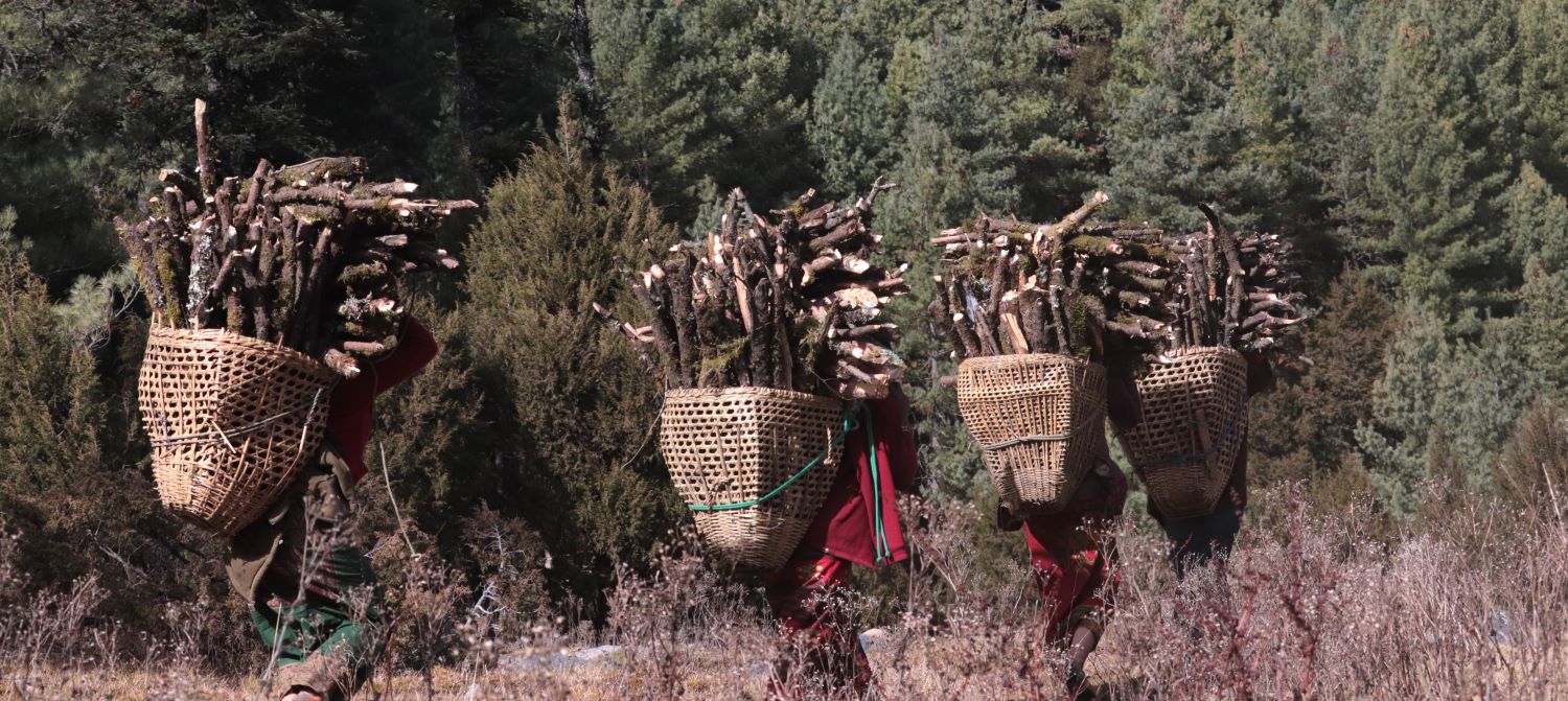 Dhorpatan Circuit Trek (PP)