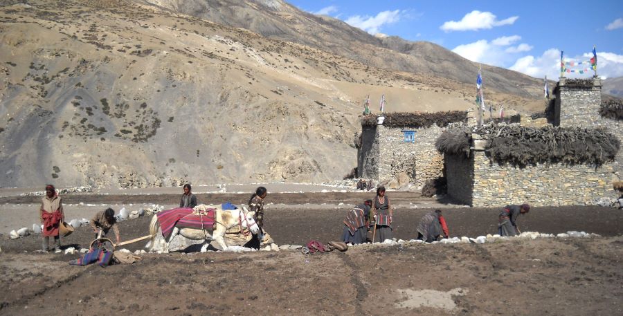 Upper Dolpo Trek, Exit Via Mustang (KK)