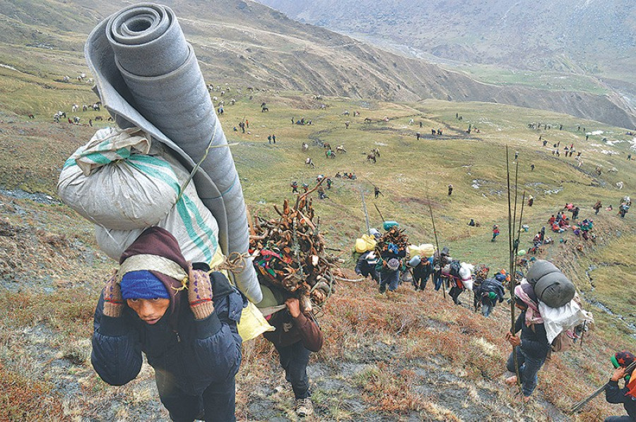 Caterpillar Expedition / Yarsa Trek (PP)