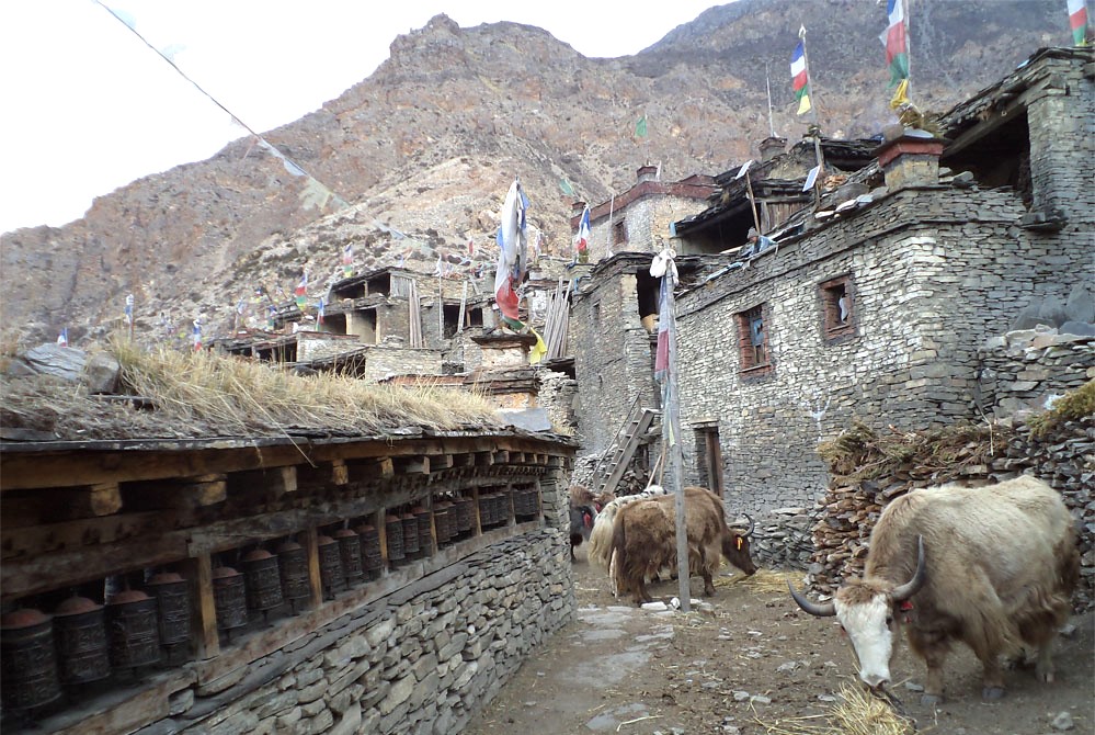 Nar Phu Valley & Annapurna Circuit Trek (KK)