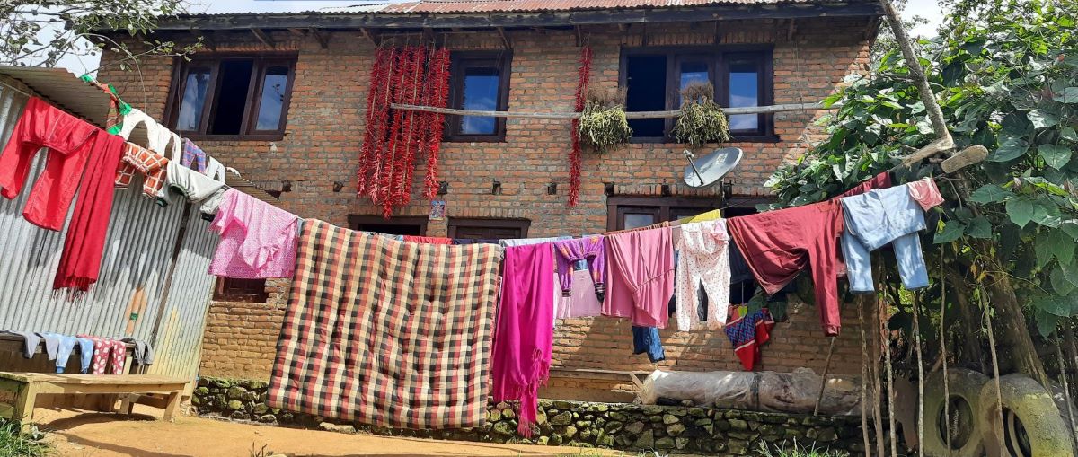 Pathibhara Temple Trek/ Kanchenjungha Panorama Trek / Kiranti And Mithila Culture Tour / Tea Garden Tour