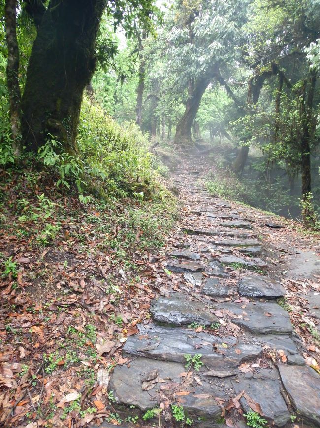 Annapurna Foothill Trek / Ghodepani Trek (PP)