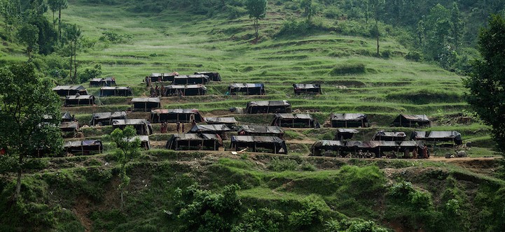 Raute Nomad Excursion / Raute’s Wild Kingdom Tour