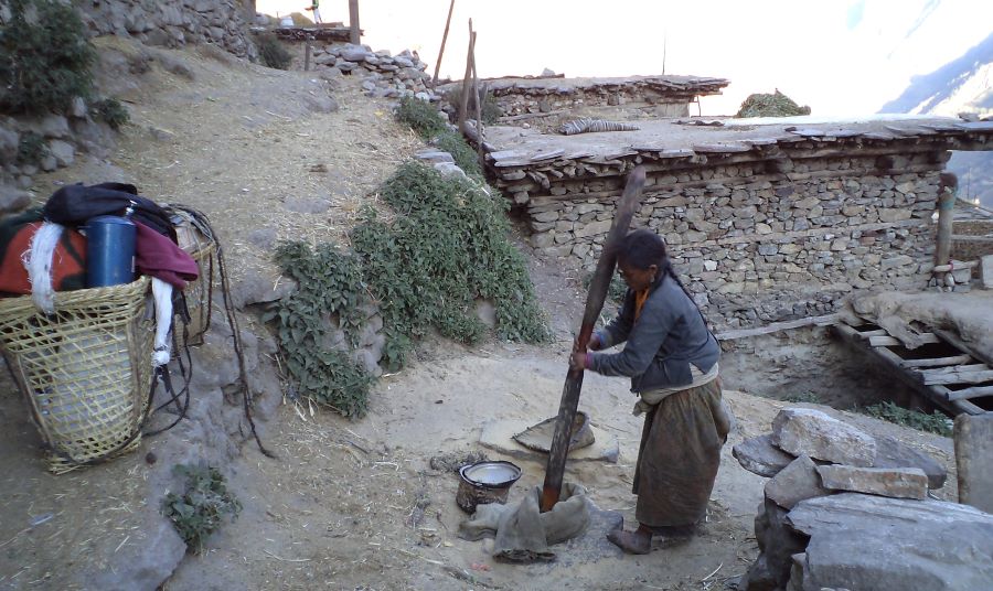 Limi Hidden Valley Trek / Humla Chyoro Circuit Trek / Shakya Patan Trek (KK)