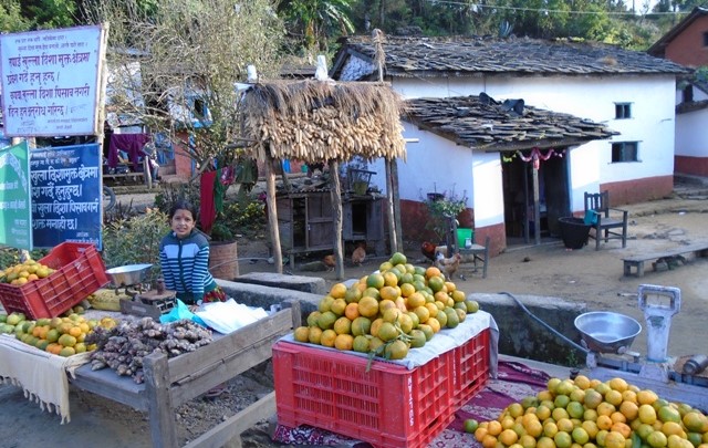 Divine Culture Tour - Shree Kedar Ugratara Jaant Festival Tour (jeep Tour + 1½ Days Trek)