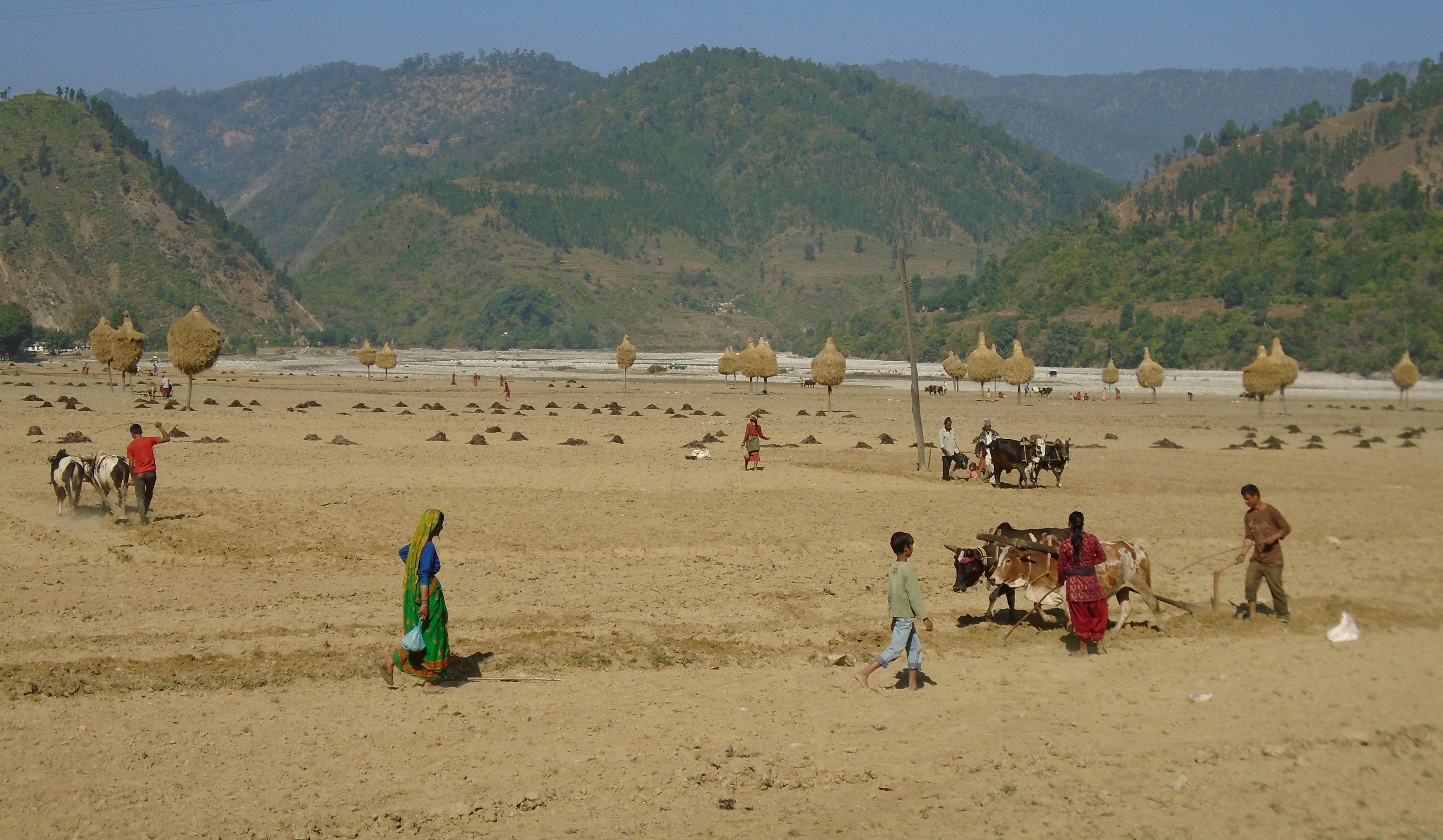 Khaptad Trek / Khaptad Plateau Trek (LL)
