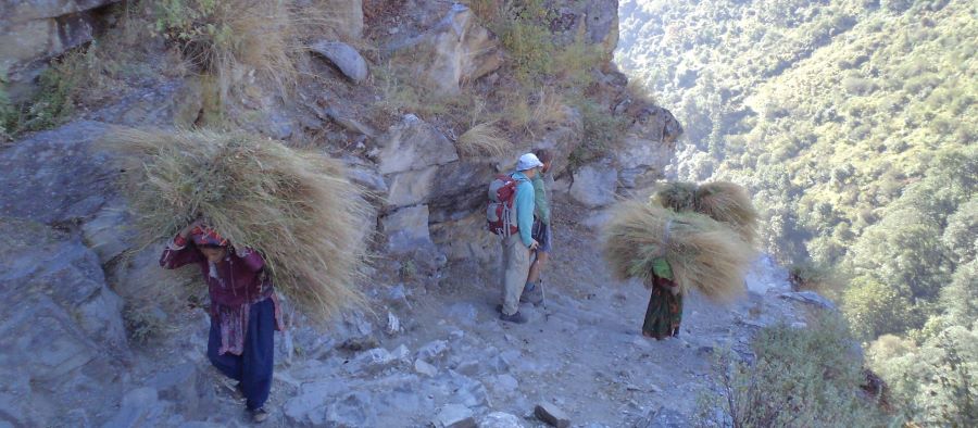 Limi Hidden Valley Trek / Humla Chyoro Circuit Trek / Shakya Patan Trek (KK)