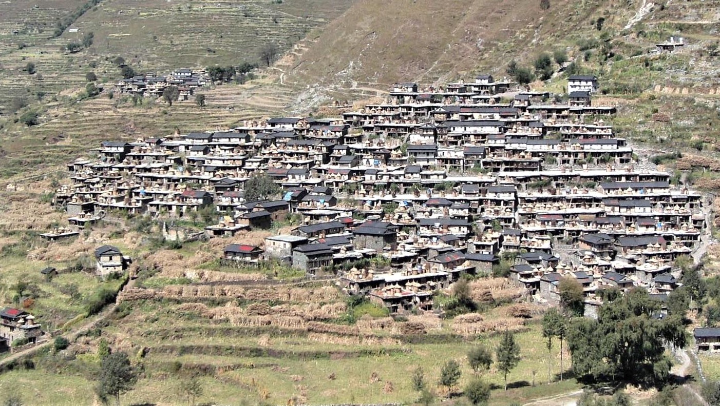 Caterpillar Expedition / Yarsa Trek (PP)