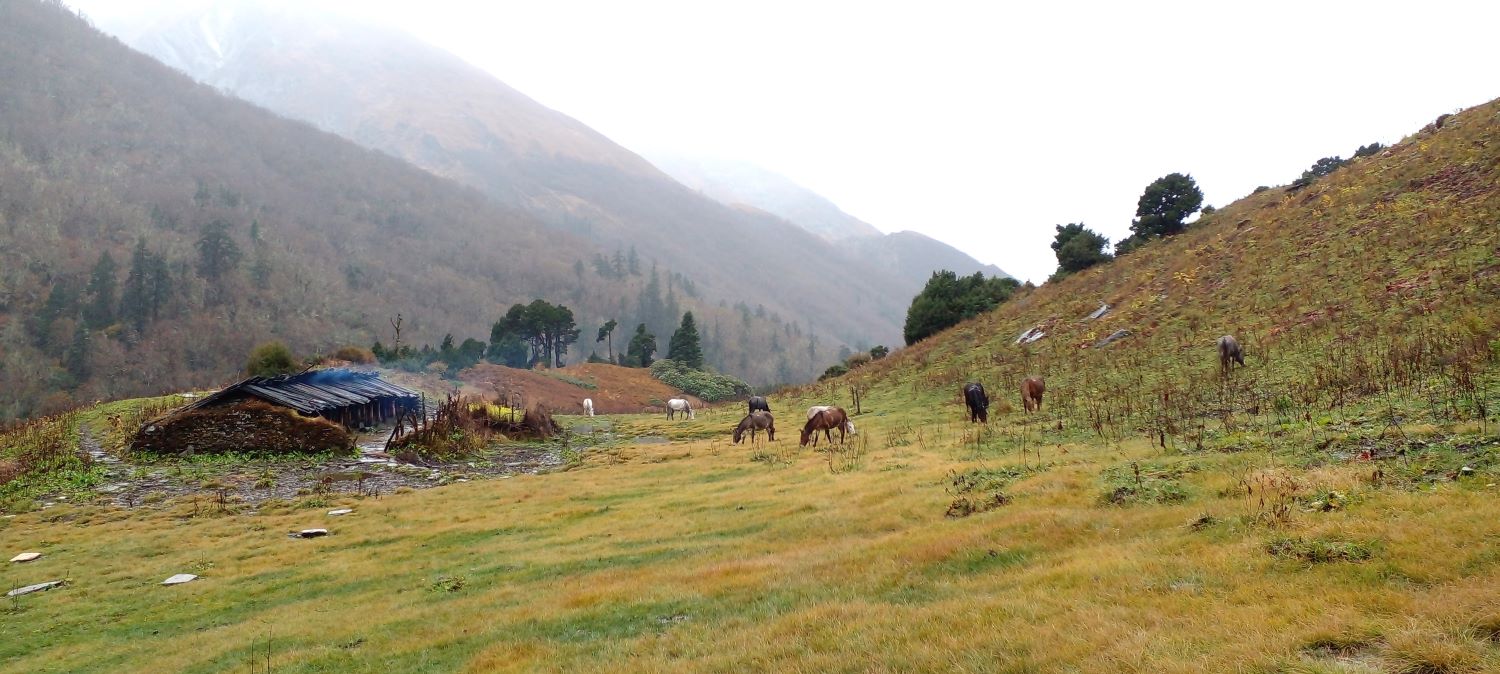 Magar Village Tour (LL)