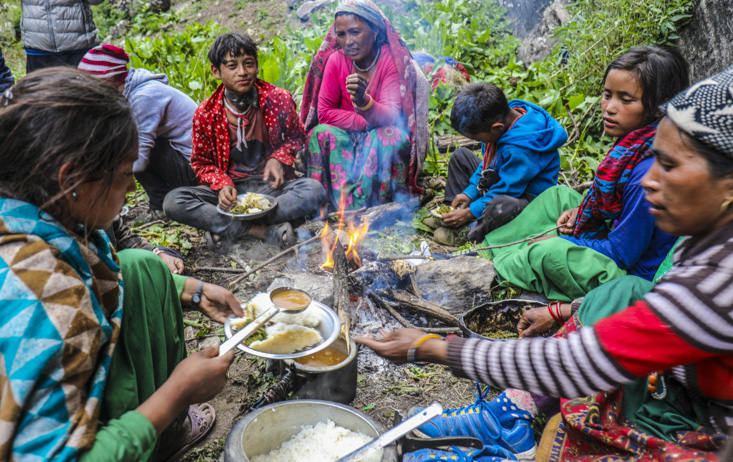 Caterpillar Expedition / Yarsa Trek (PP)