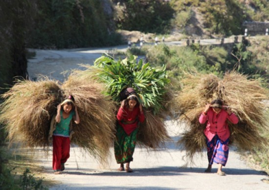 Far West Nepal Classic Tour (LL)