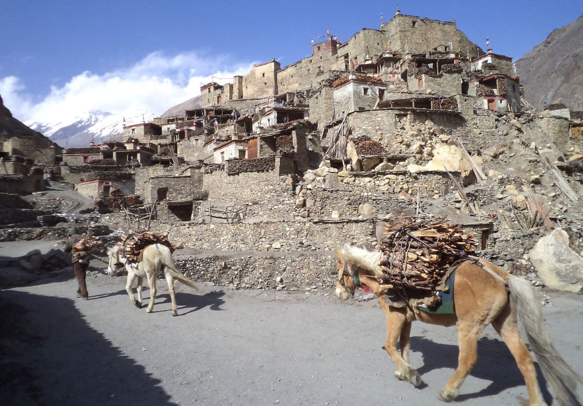 Nar Phu Valley & Annapurna Circuit Trek (KK)