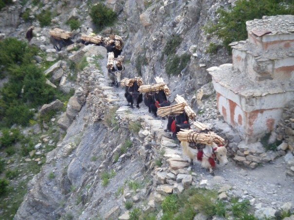 Limi Hidden Valley Trek / Humla Chyoro Circuit Trek / Shakya Patan Trek (KK)