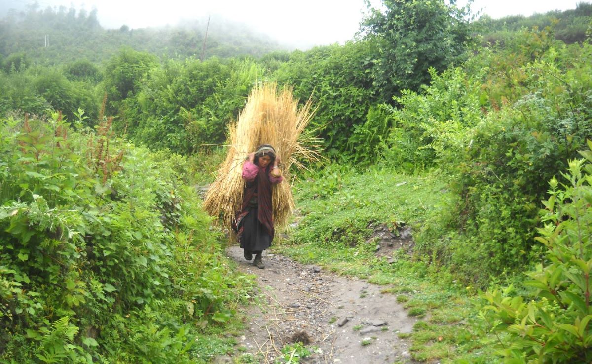 Tamang Heritage Trek